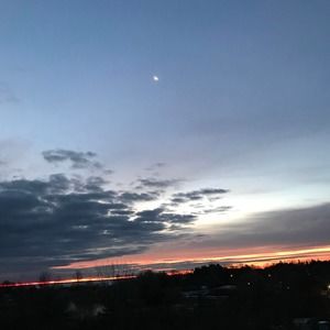 Meet your Posher, Patzy